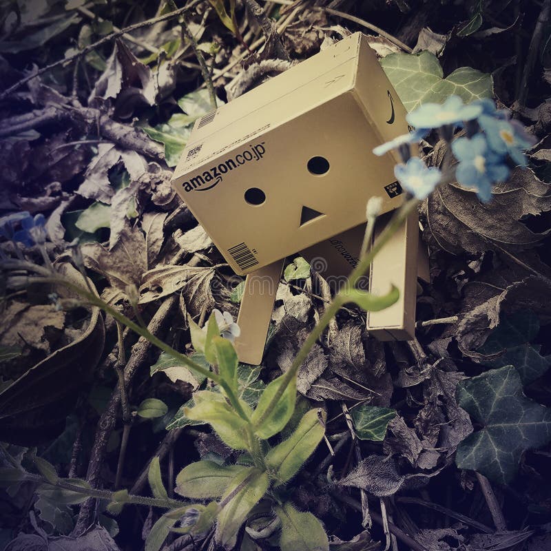 Danbo adventures stock photography