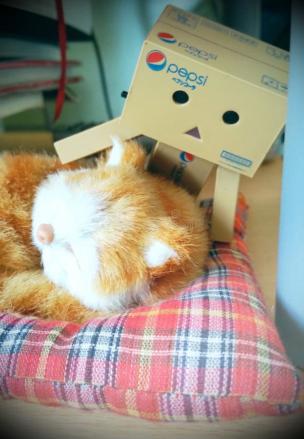 Danbo adventures 17 royalty free stock images