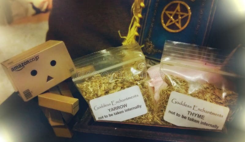 Danbo adventures 24 royalty free stock photos