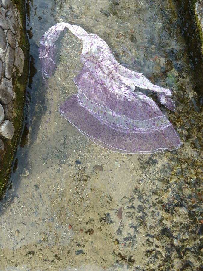 Dance Silk Dress Cold Water Stock Photos Free & RoyaltyFree Stock