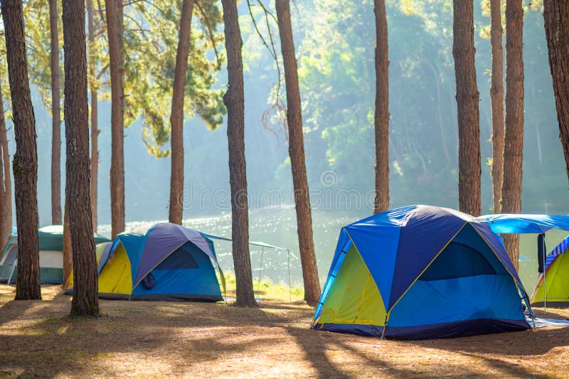 Dancing camping in Pang Ung forest, Mae Hong Son province, Thailand stock images Dancing camping in Pang Ung forest, Mae Hong Son province, Thailand stock images