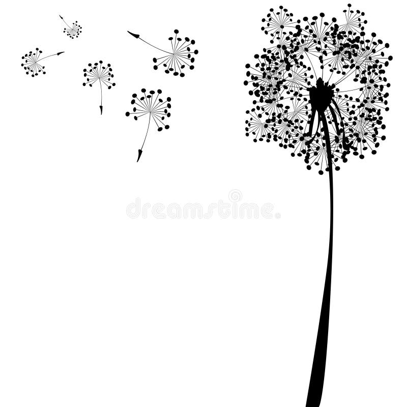 Dandelion against white stock illustration Dandelion against white stock illustration