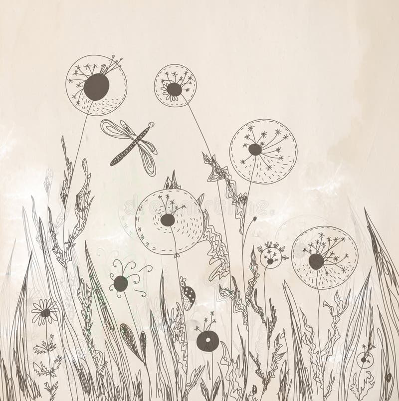 Dandelion floral background artistic