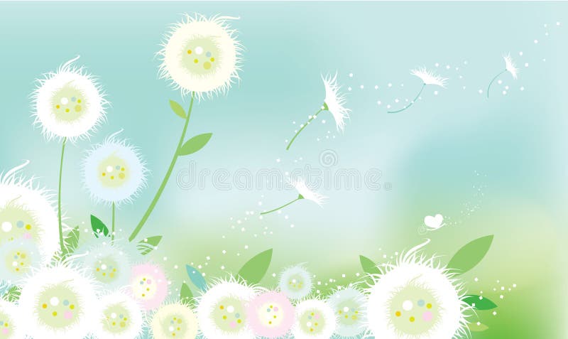 Dandelion Flowers