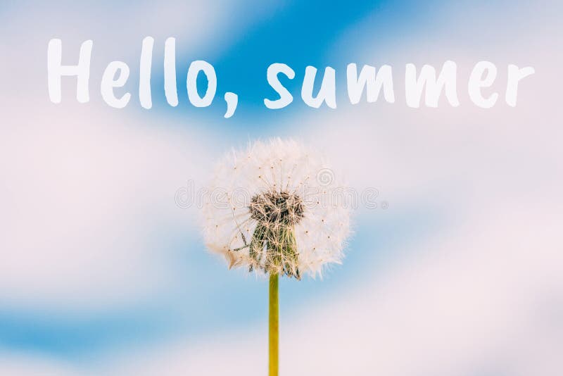Dandelion kwiat przeciw niebieskiemu niebu z chmury tłem Cze?? lato tekst zdjęcie royalty free Dandelion kwiat przeciw niebieskiemu niebu z chmury tłem Cze?? lato tekst zdjęcie royalty free