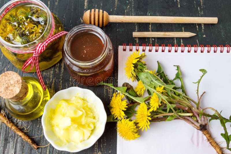 Dandelion natural products collection with notebook royalty free stock image Dandelion natural products collection with notebook royalty free stock image