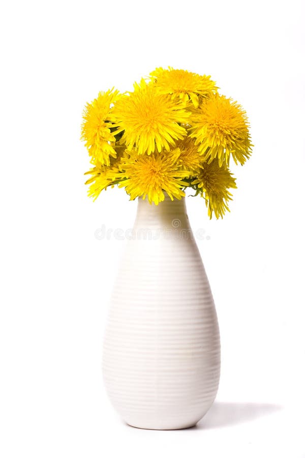 Dandelion`s nosegay