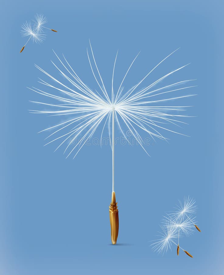 Dandelion seeds vector icon