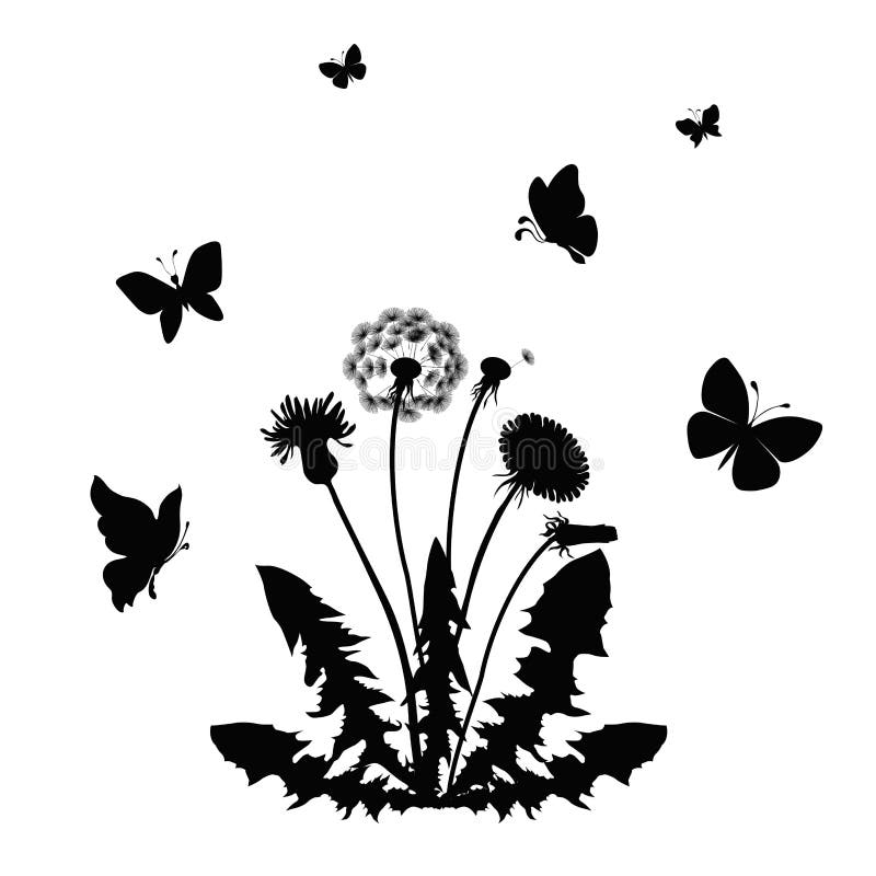 Download Dandelion Stock Vector - Image: 54579862