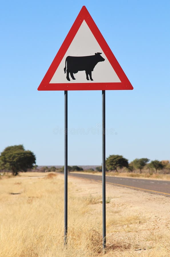 Danger - Cattle (Cow) Crossing Road Sign - Drivers be Cautious and Alert