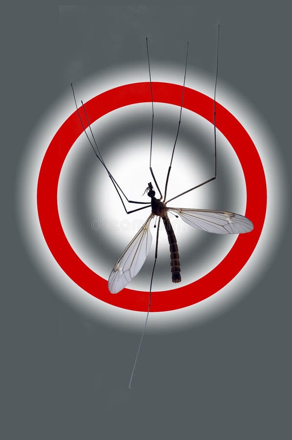 Danger: Mosquito!