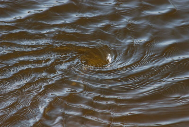 Water vortex stock photo. Image of swirl, water, danger - 1376158