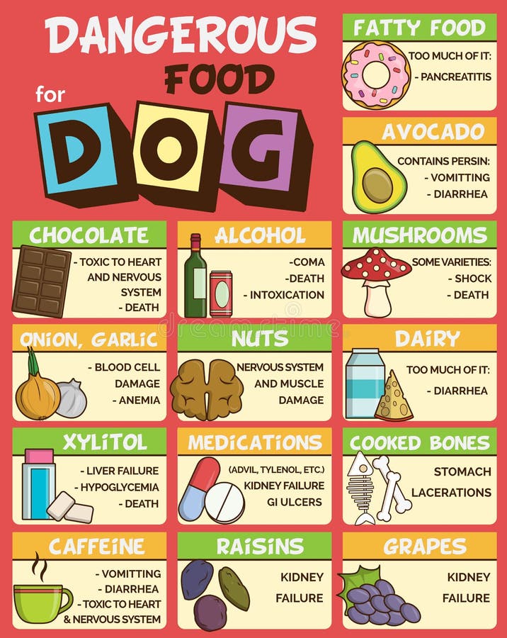 Foods Ok For Dogs Foods Ok For Dogs