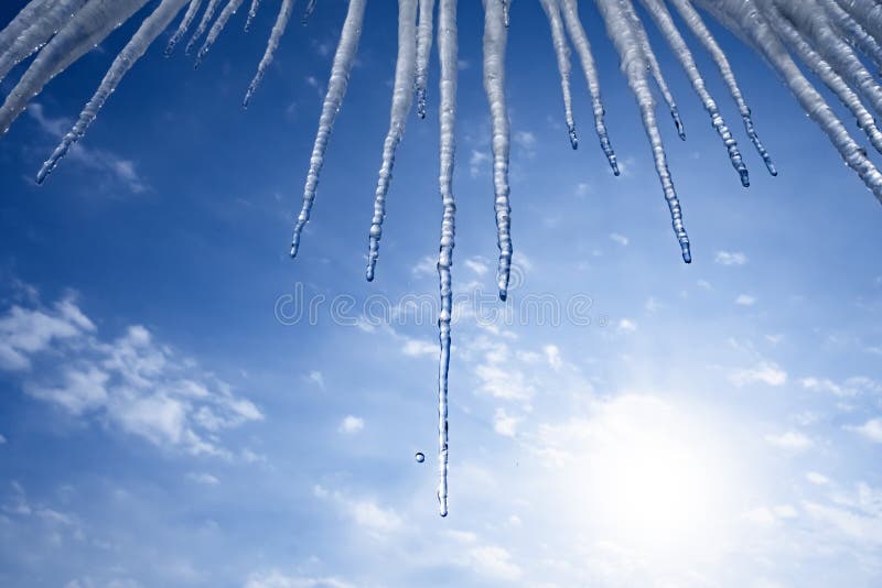 Dangerous Icicles on Blue Sky Background. Ice Texture. Winter Backdrop