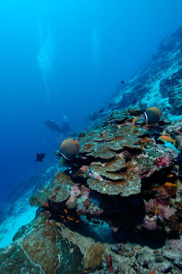 Dangerously beautiful aceh indonesia scuba diving