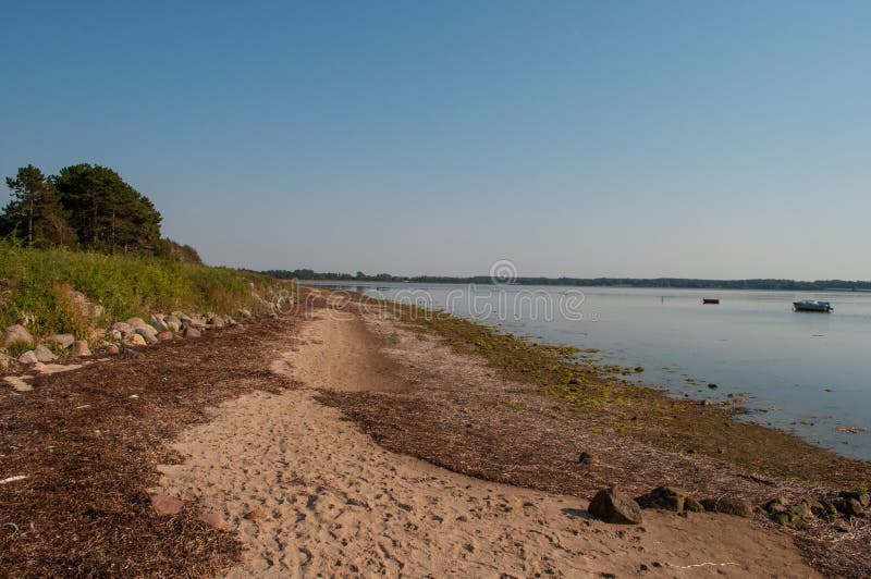 Danish Beach on a Summer Day Stock Image - Image of ocean, denmark ...