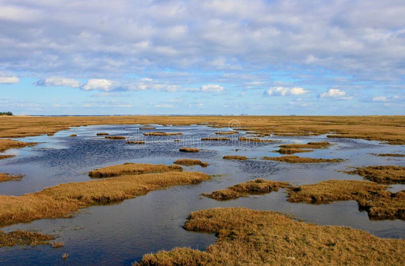 Danish Bog Land Royalty Free Stock Photo Image 13736035