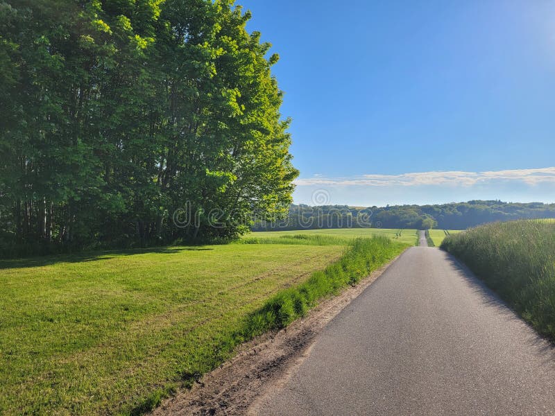 DANISH COUNTRY ROAD stock image. trees - 11441639