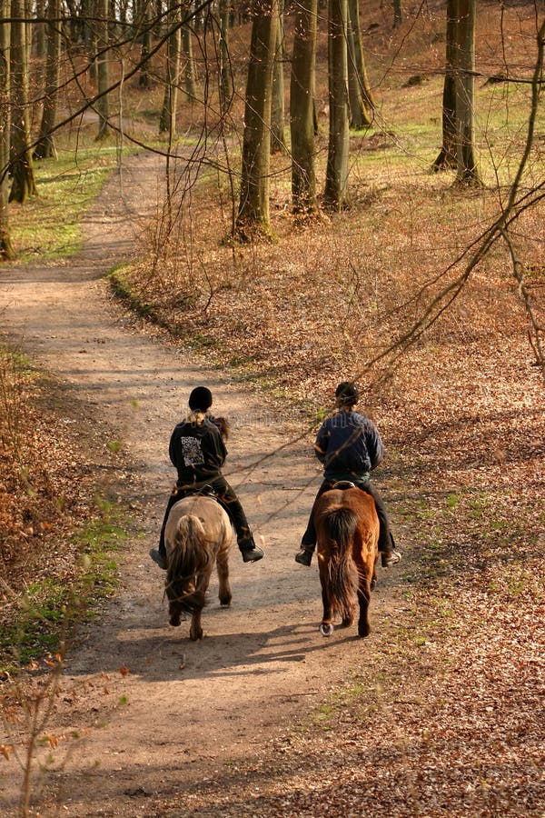 Danish horses