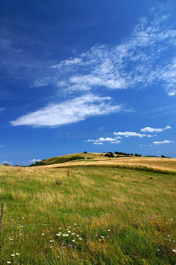 Danish summer landscape 1