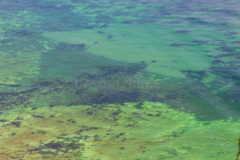 Danish undersea landscape royalty free stock photo Danish undersea landscape royalty free stock photo