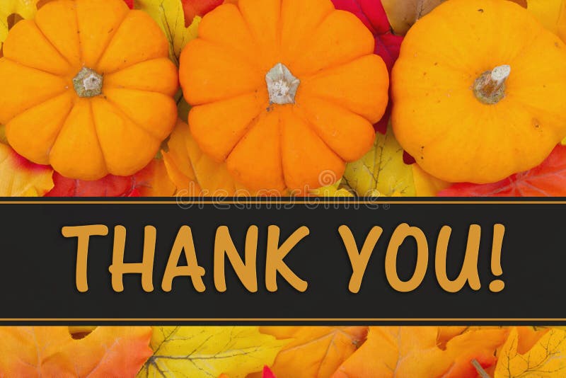 Thank You Message, Some fall leaves and pumpkins with text Thank You. Thank You Message, Some fall leaves and pumpkins with text Thank You