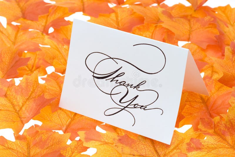 Thank you card on a bright autumn background of leaves. Thank you card on a bright autumn background of leaves