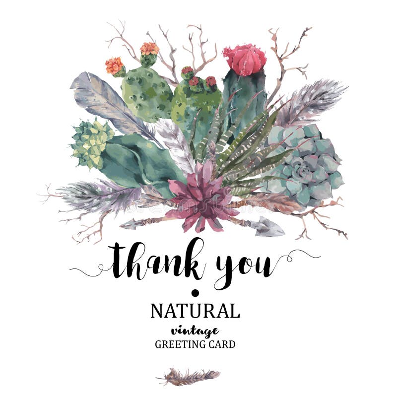 Dank u kaarden met takken en succulent stock illustratie Dank u kaarden met takken en succulent stock illustratie