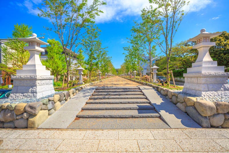 The Dankazura way on Wakamiya-Oji Avenue at the pathway flanked by cherry trees that from the Tsurugaoka Hachiman shinto sanctuary leads to the beach of Kamakura in Japan. Beautiful spring season. The Dankazura way on Wakamiya-Oji Avenue at the pathway flanked by cherry trees that from the Tsurugaoka Hachiman shinto sanctuary leads to the beach of Kamakura in Japan. Beautiful spring season.