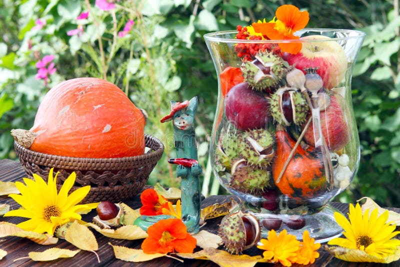 Thanksgiving royalty-vrije stock fotografie