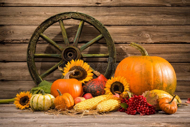 Thanksgiving royalty-vrije stock foto's