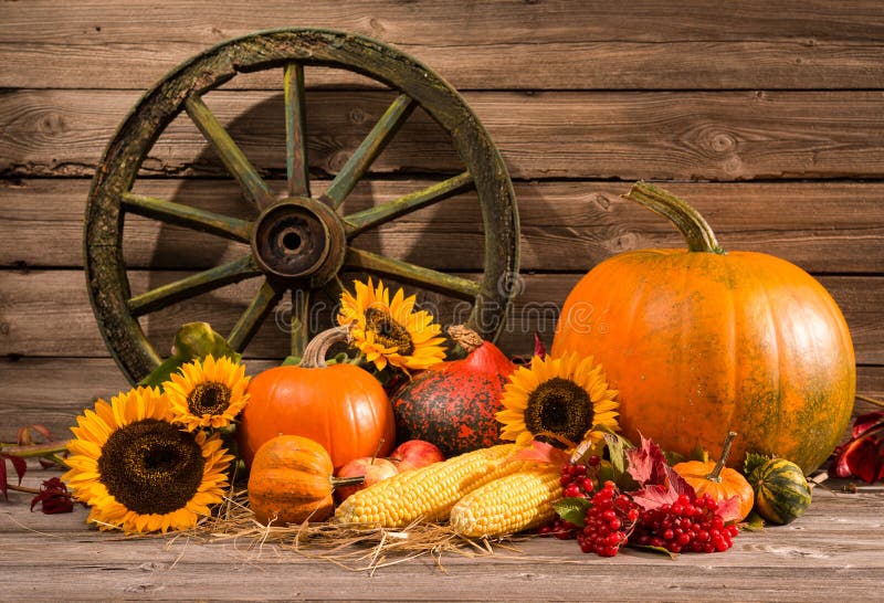 Thanksgiving stock foto