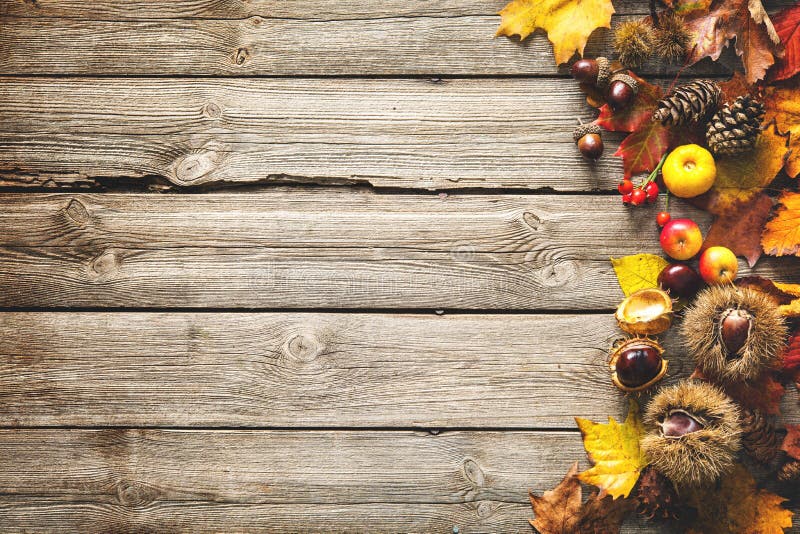 Dankzeggings herfstachtergrond stock foto's