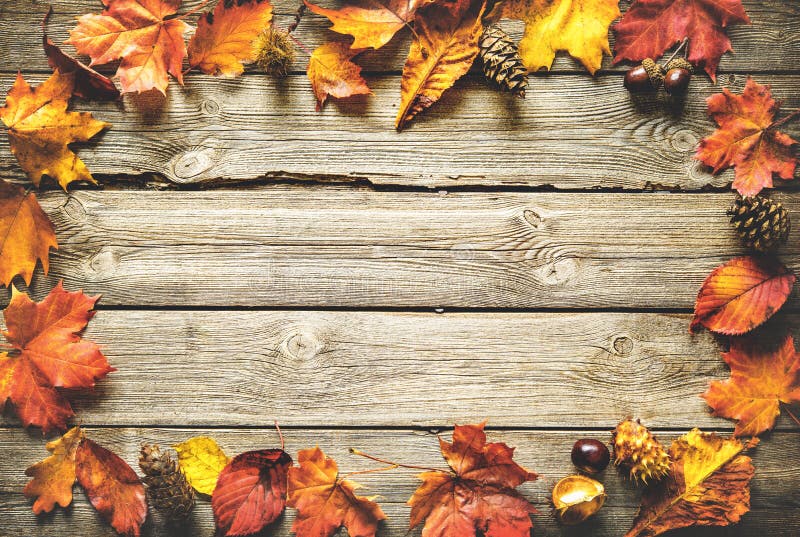 Dankzeggings herfstachtergrond royalty-vrije stock foto's
