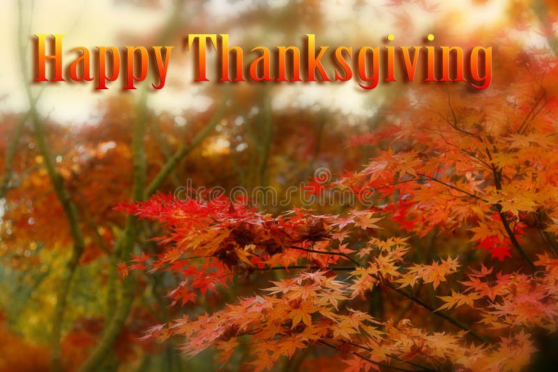 Dankzeggings Herfstbos royalty-vrije stock afbeelding