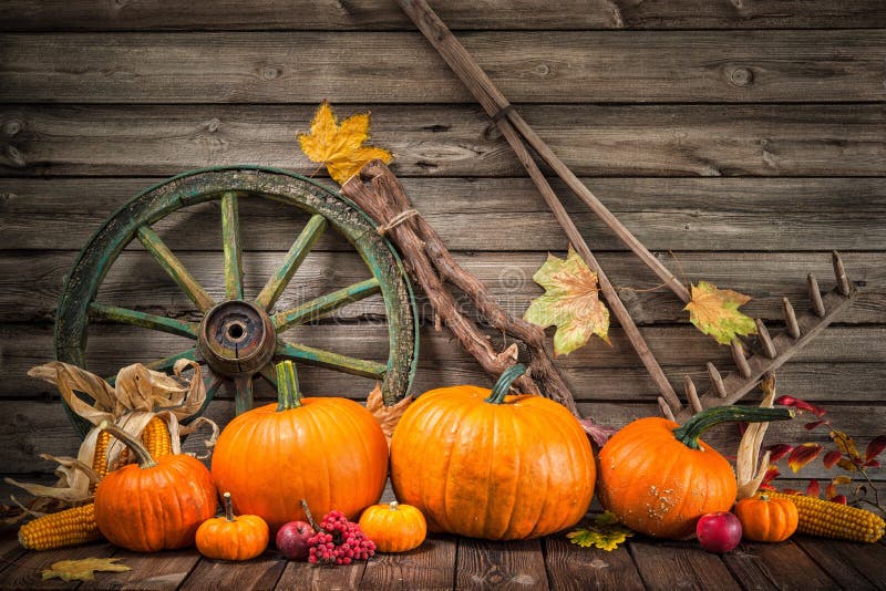 Herfststillevens met pompoenen voor Thanksgiving royalty-vrije stock afbeeldingen