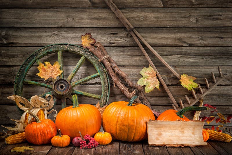 Dankzeggings herfststilleven met pompoenen royalty-vrije stock afbeeldingen