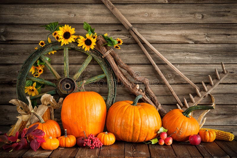 Herfststillevens met pompoenen voor Thanksgiving stock foto's