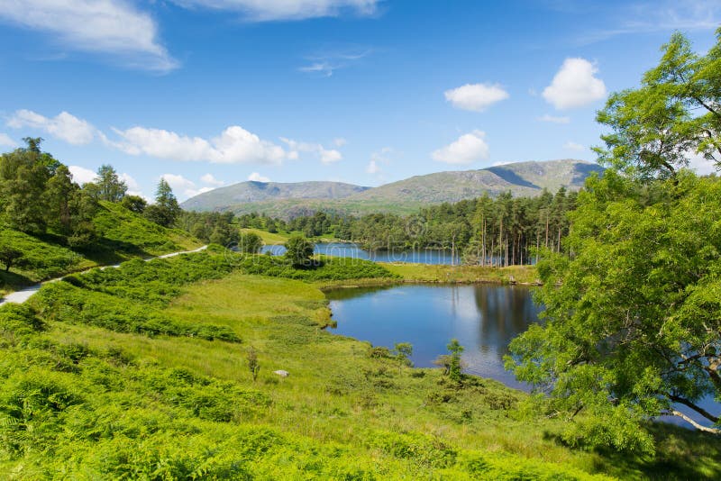 Dann Weg am Tarn Hows See-Bezirk Cumbria England Großbritannien an einem schönen sonnigen Sommertag stockfotos Dann Weg am Tarn Hows See-Bezirk Cumbria England Großbritannien an einem schönen sonnigen Sommertag stockfotos