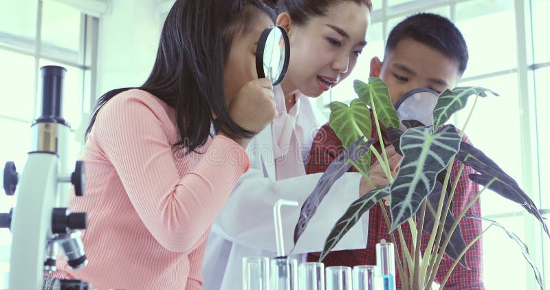Dans le laboratoire les étudiants regardent par la loupe clips vidéos