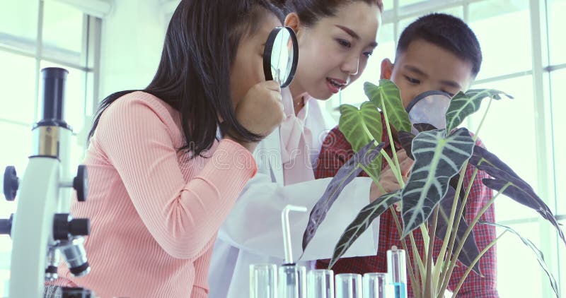 Dans le laboratoire les étudiants regardent par la loupe