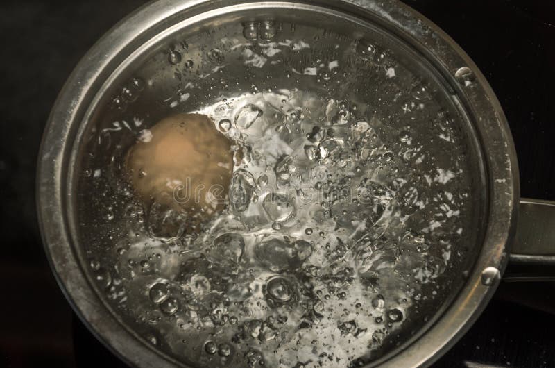 Dans un oeuf de poulet de cuisinier de casserole en eau bouillante images libres de droits Dans un oeuf de poulet de cuisinier de casserole en eau bouillante images libres de droits