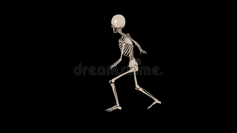 Danse Hip Hop de Squelette Drôle illustration de vecteur