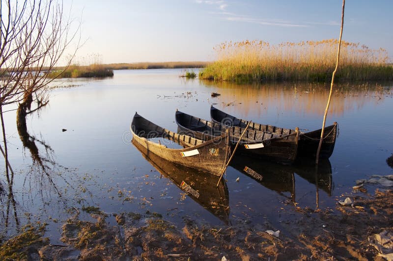 danube delta royaltyfri foto danube delta royaltyfri foto