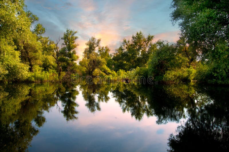 Lato nord del fiume Danubio, a Belgrado, Serbia ha palude e a causa delle sue acque calme rende perfetto albero di riflessioni.