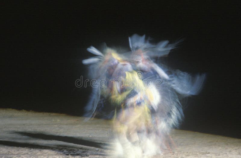 Danzatore dell'nativo americano nel movimento immagine stock Danzatore dell'nativo americano nel movimento immagine stock