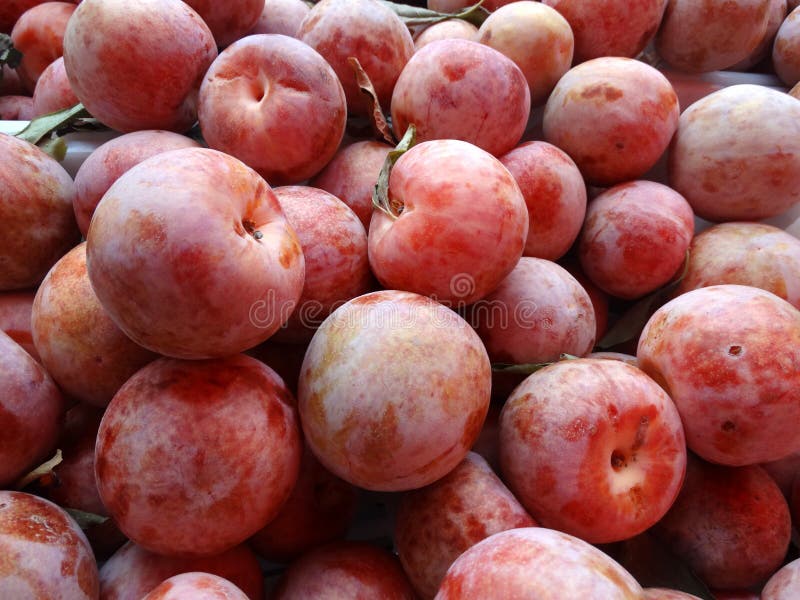 Dapple Dandy Pluot, Interspecific hybrid between plum and apricot combining apricot sweetness with plum tart, greenish-yellow skin with red spots turning to maroon with yellow spots, flesh creamish white and red