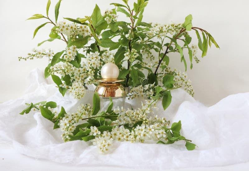 Dare ai tuoi cari un profumo squisito. immagine stock