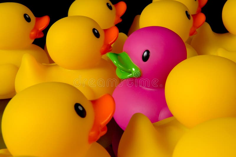 Dare to be different - rubber ducks on black