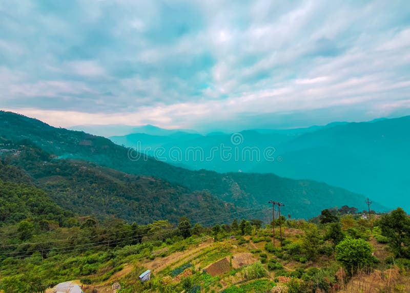 Darjeeling Tea Garden View of the Darjeeling Tea Gardens from the
